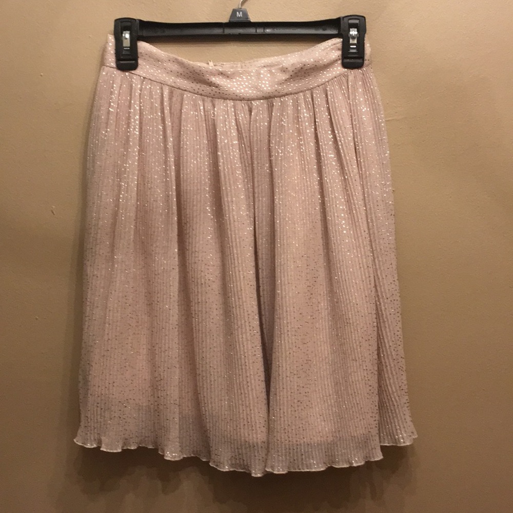 Champagne and silver polka dot skirt